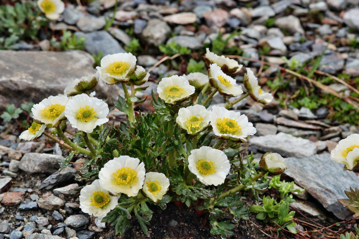 2014_07_24_00004122p_Bildgr��e �ndern