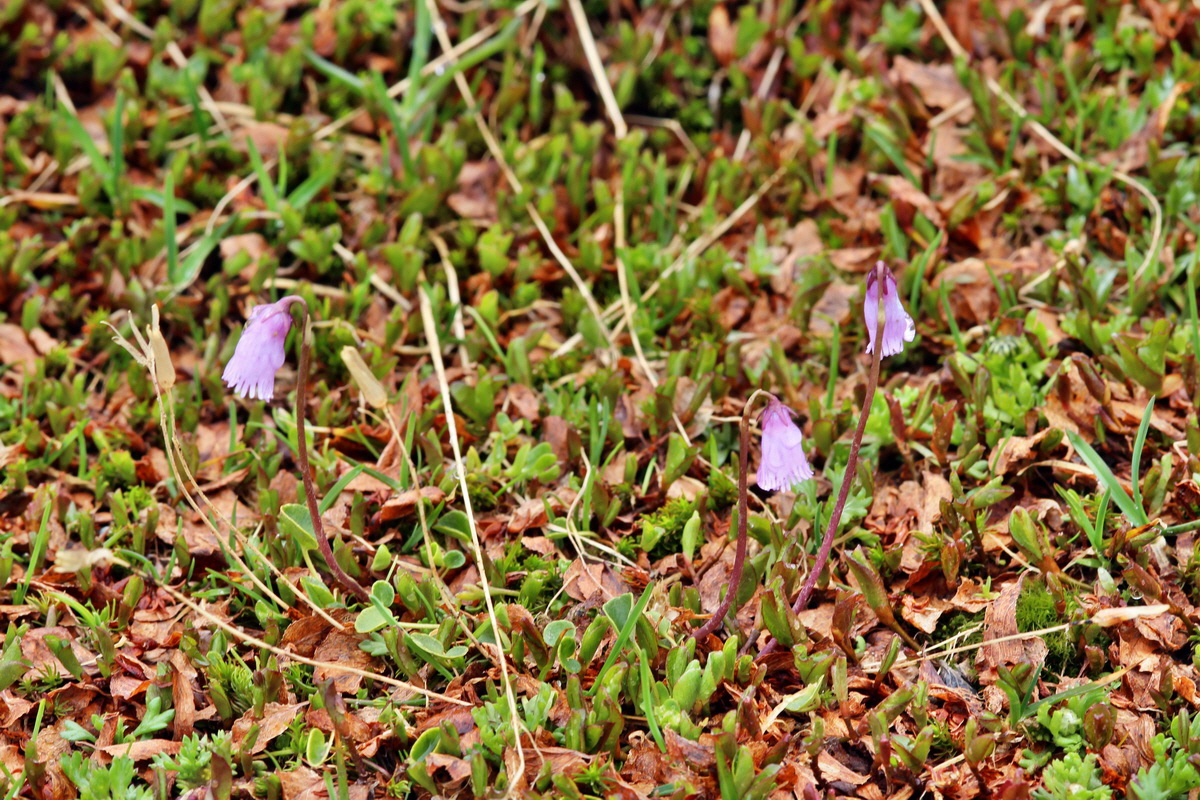 2014_07_24_00004128p_Bildgr��e �ndern