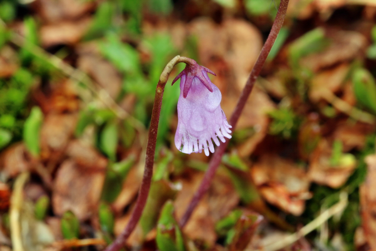 2014_07_24_00004132p_Bildgr��e �ndern