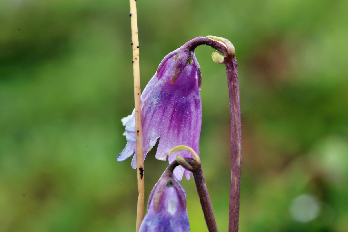 2014_07_24_00004139p_Bildgr��e �ndern