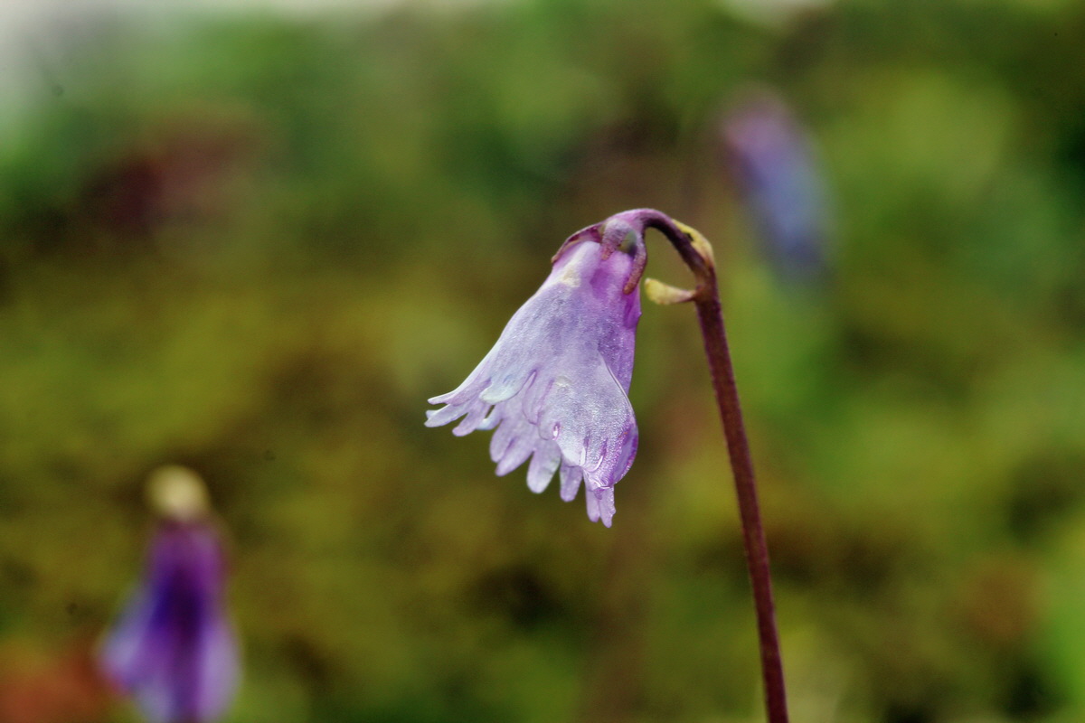 2014_07_24_00004141p_Bildgr��e �ndern