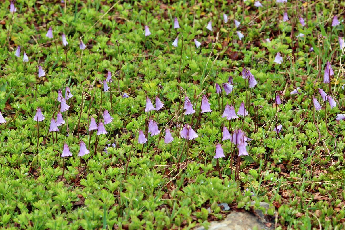 2014_07_24_00004153p_Bildgr��e �ndern