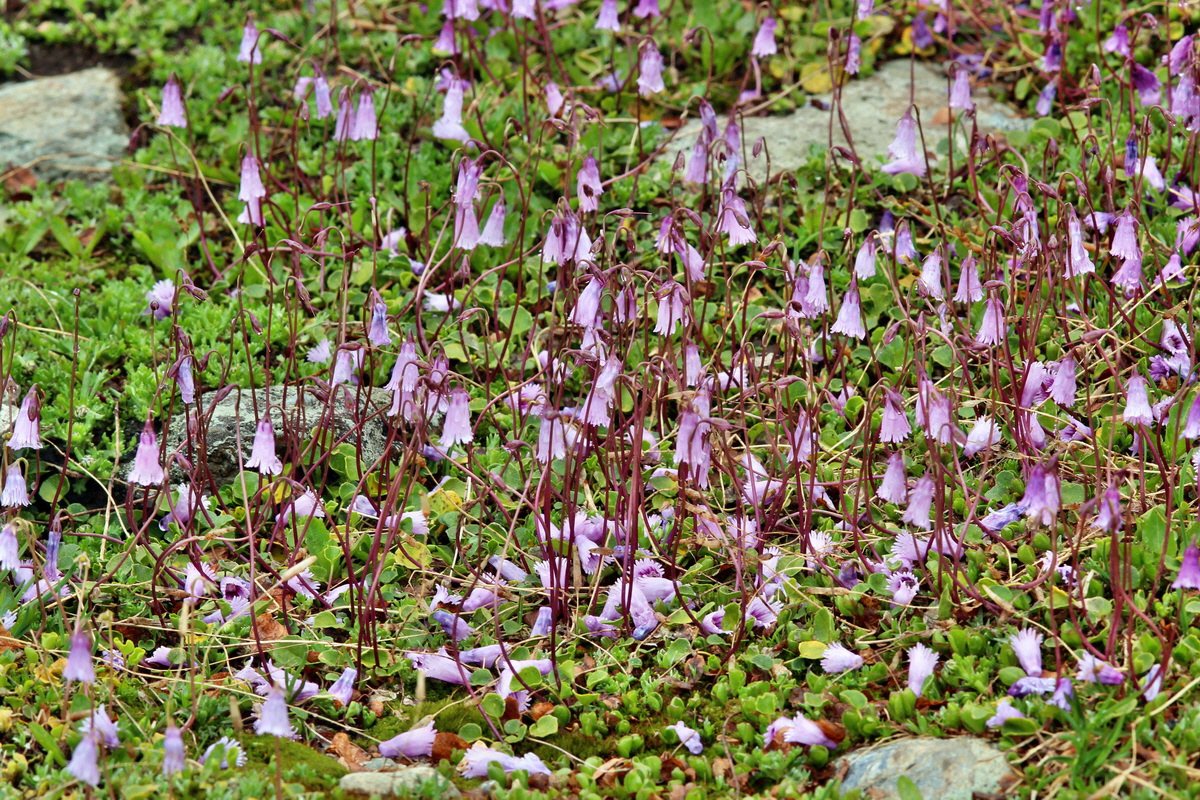 2014_07_24_00004155p_Bildgr��e �ndern