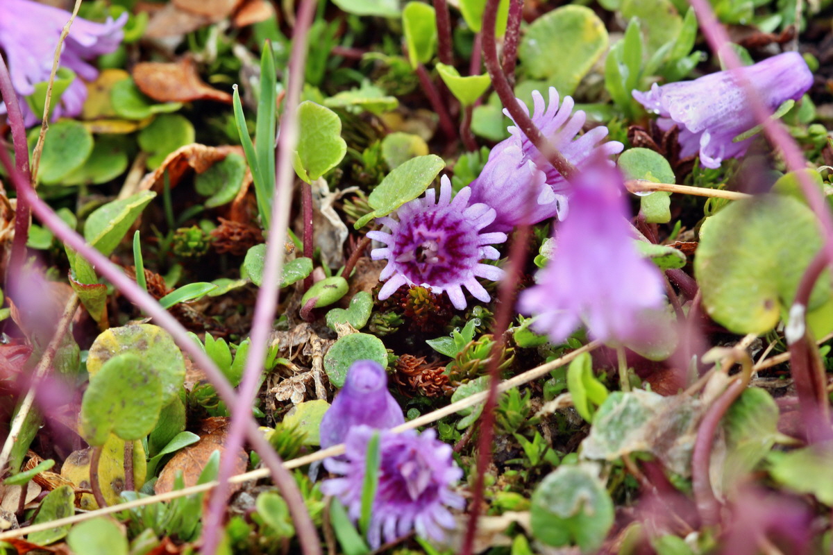 2014_07_24_00004163p_Bildgr��e �ndern