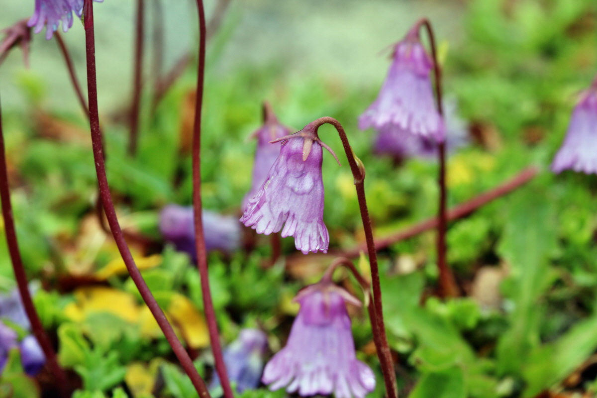 2014_07_24_00004165p_Bildgr��e �ndern