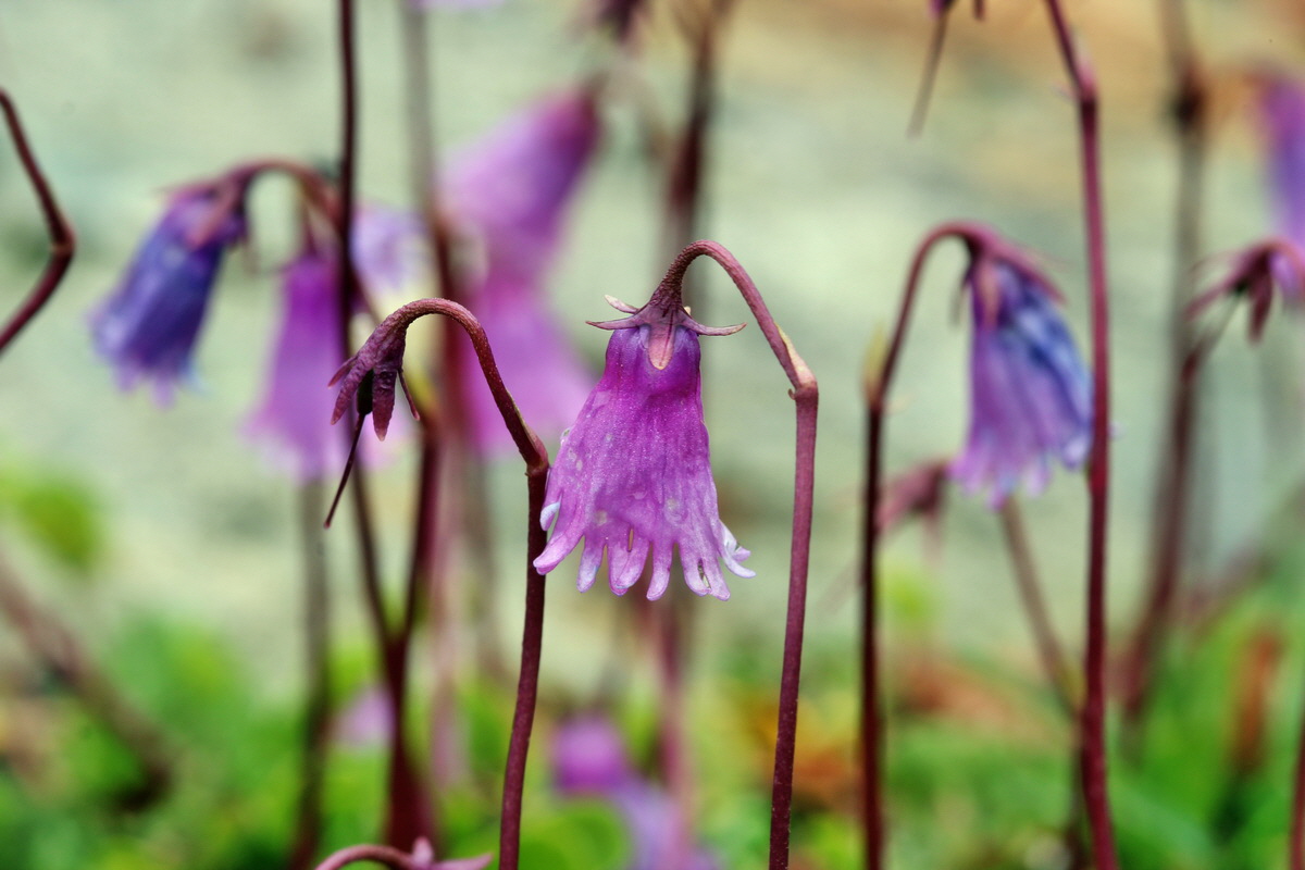 2014_07_24_00004167p_Bildgr��e �ndern