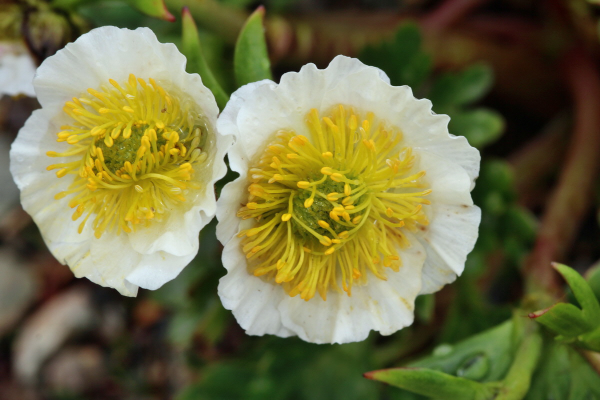 2014_07_24_00004178p_Bildgr��e �ndern