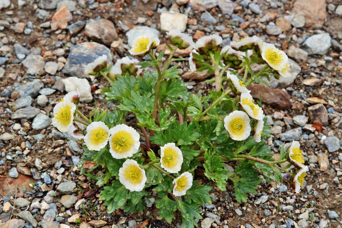 2014_07_24_00004179p_Bildgr��e �ndern