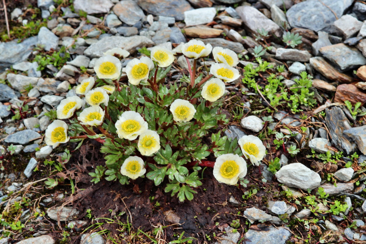 2014_07_24_00004182p_Bildgr��e �ndern