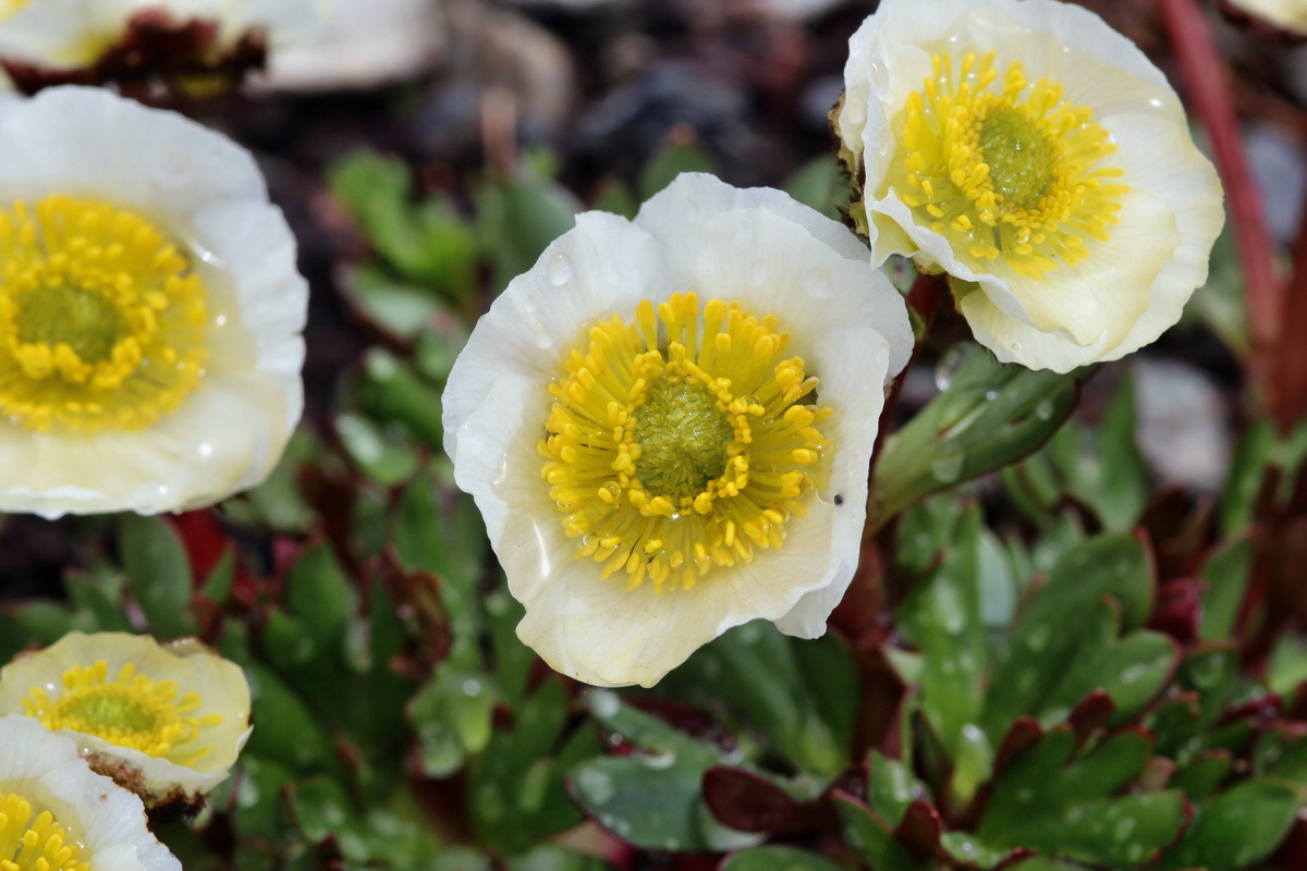 2014_07_24_00004186p_Bildgr��e �ndern