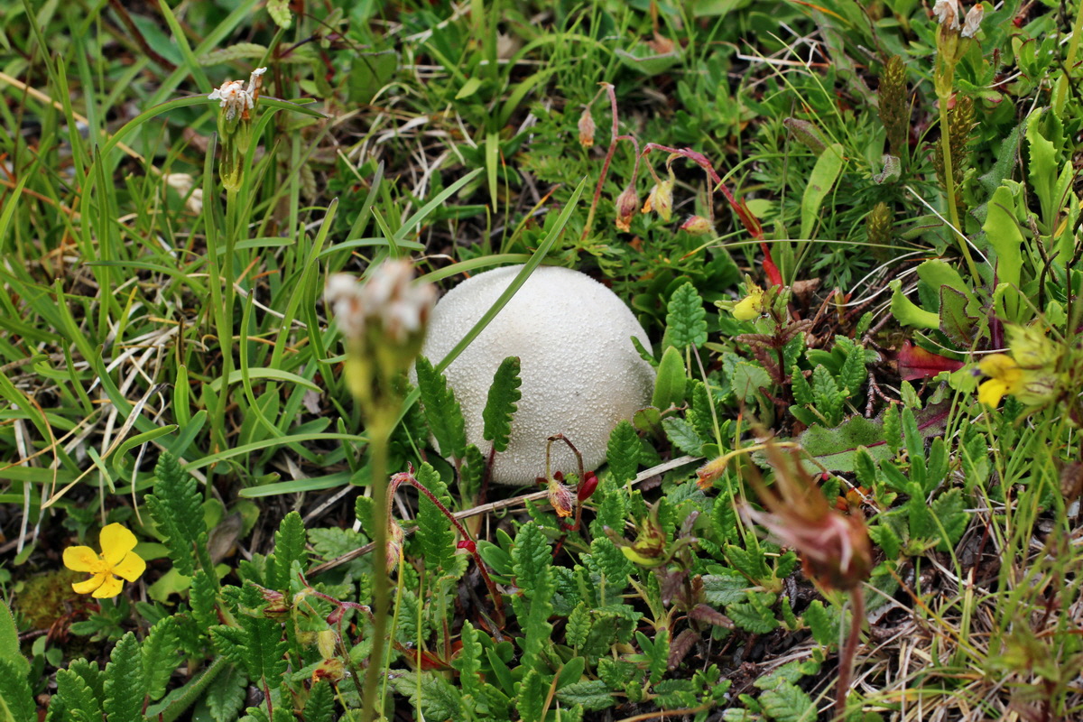 2014_07_24_00004191p_Bildgr��e �ndern