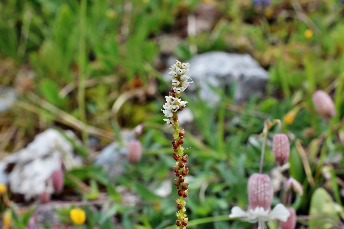 2014_07_24_00004200p_Bildgr��e �ndern