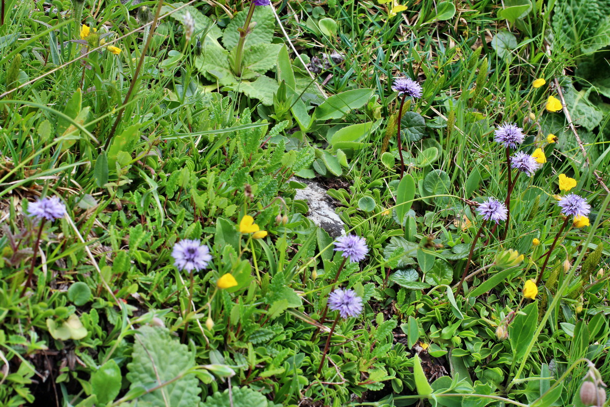 2014_07_24_00004213p_Bildgr��e �ndern