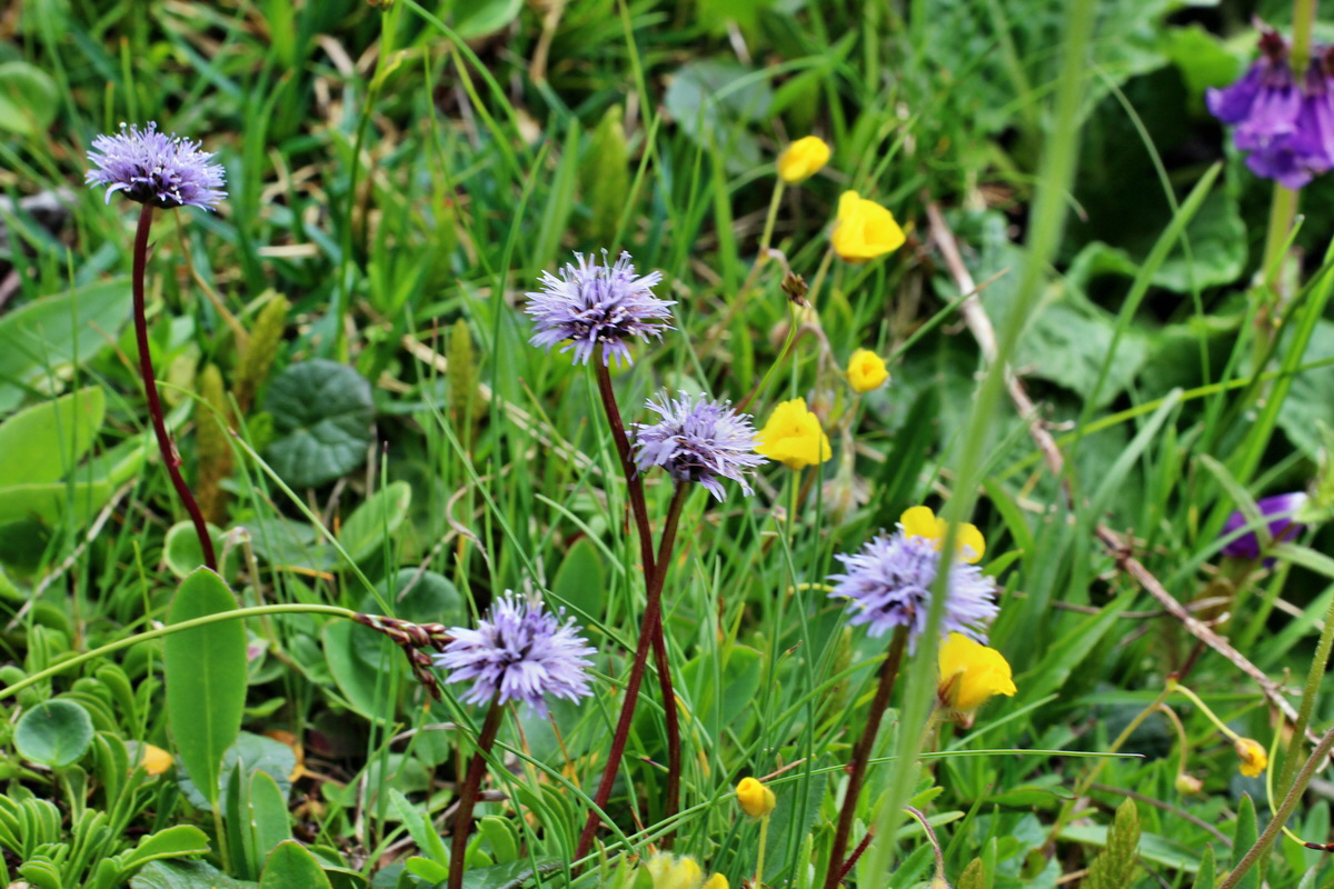 2014_07_24_00004217p_Bildgr��e �ndern