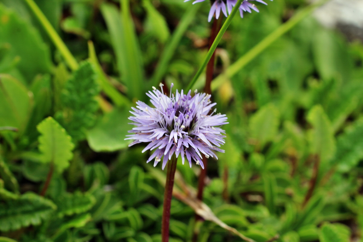 2014_07_24_00004220p_Bildgr��e �ndern