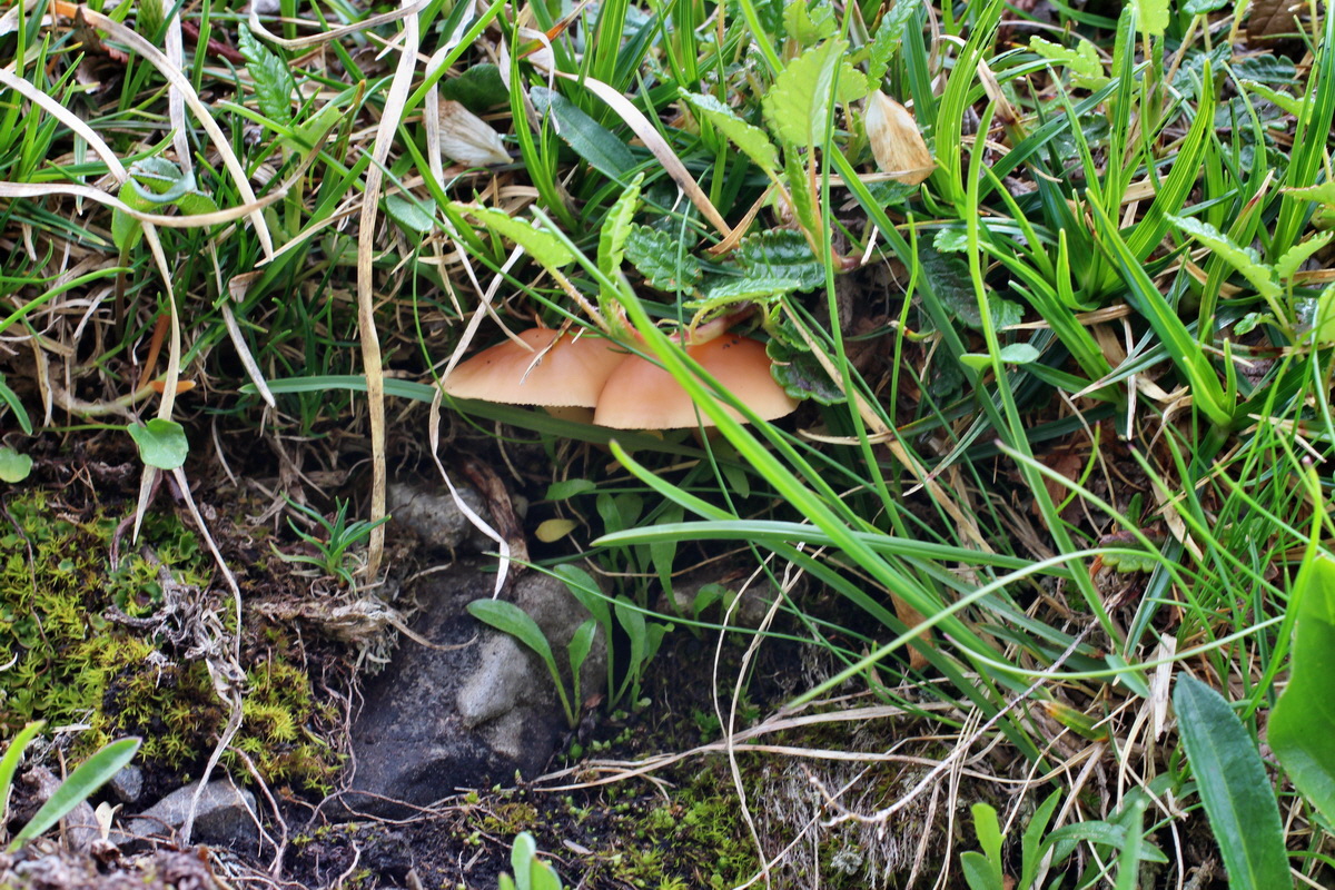 2014_07_24_00004224p_Bildgr��e �ndern