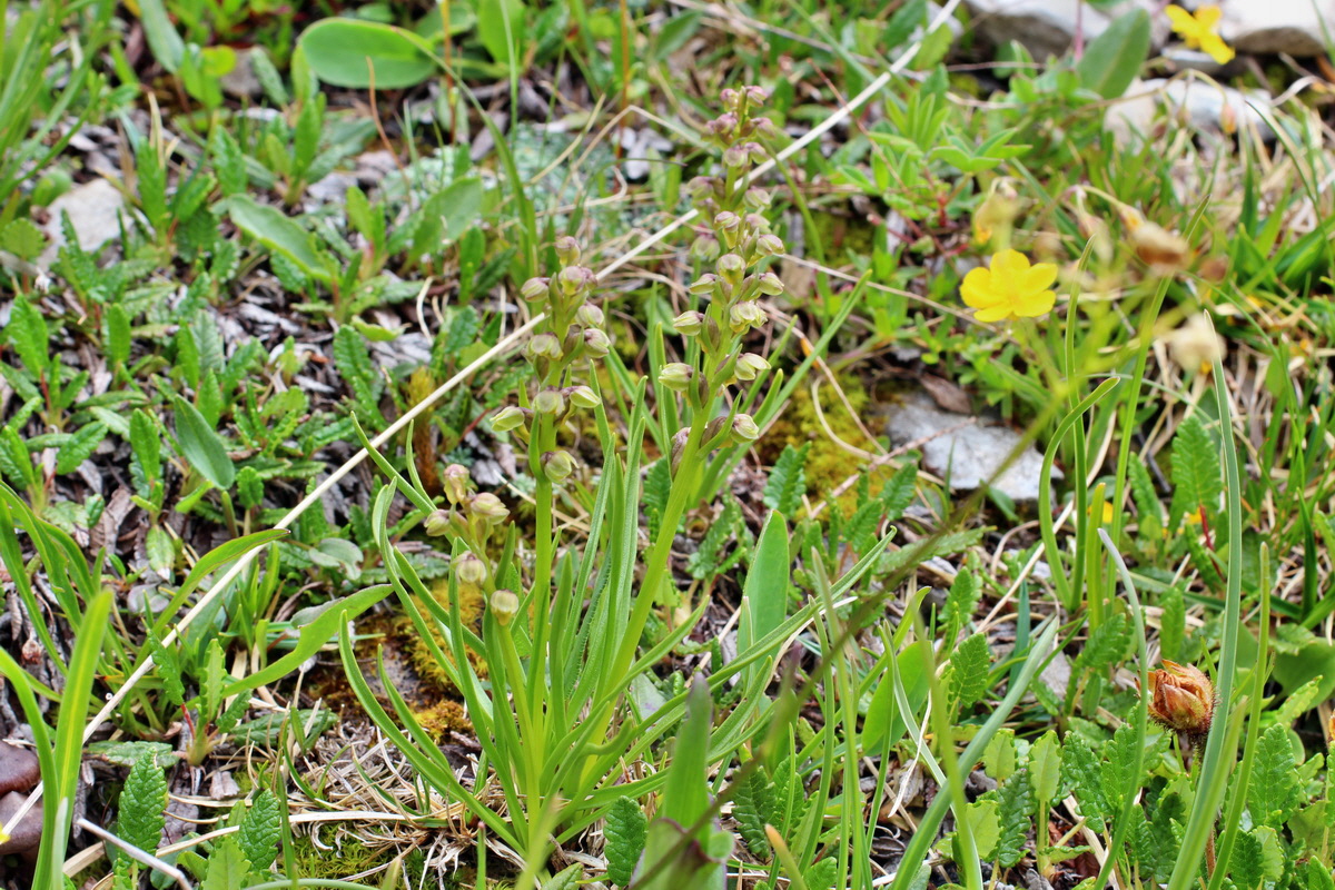 2014_07_24_00004231p_Bildgr��e �ndern