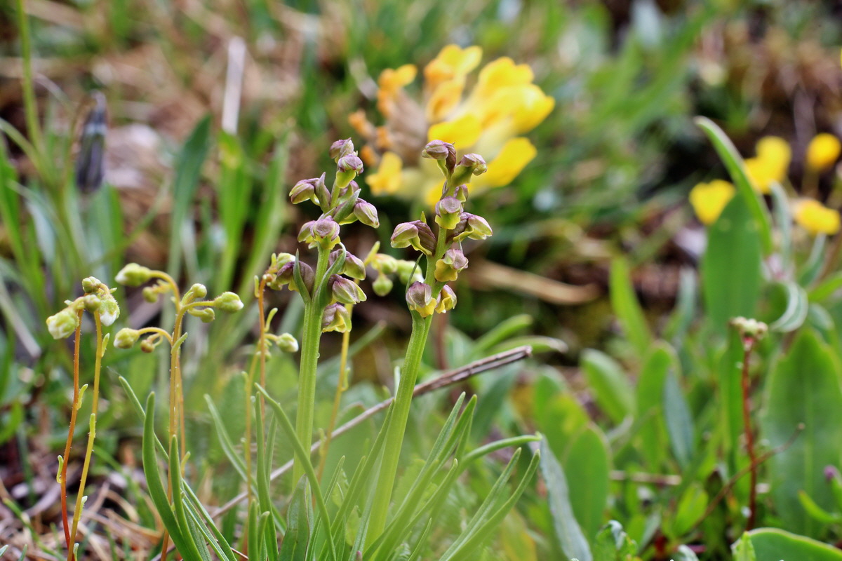 2014_07_24_00004235p_Bildgr��e �ndern