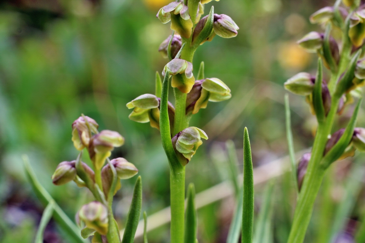 2014_07_24_00004238p_Bildgr��e �ndern