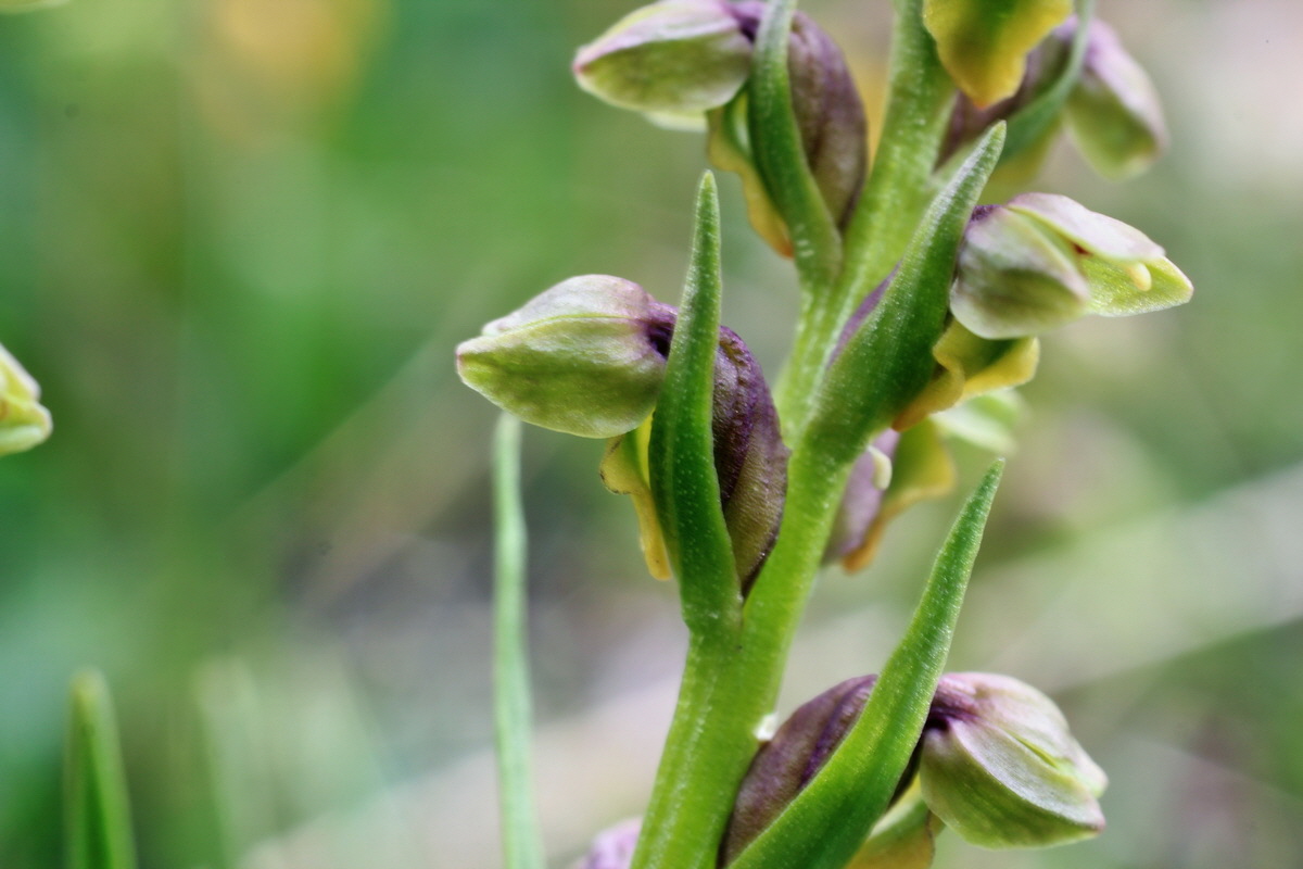 2014_07_24_00004243p_Bildgr��e �ndern