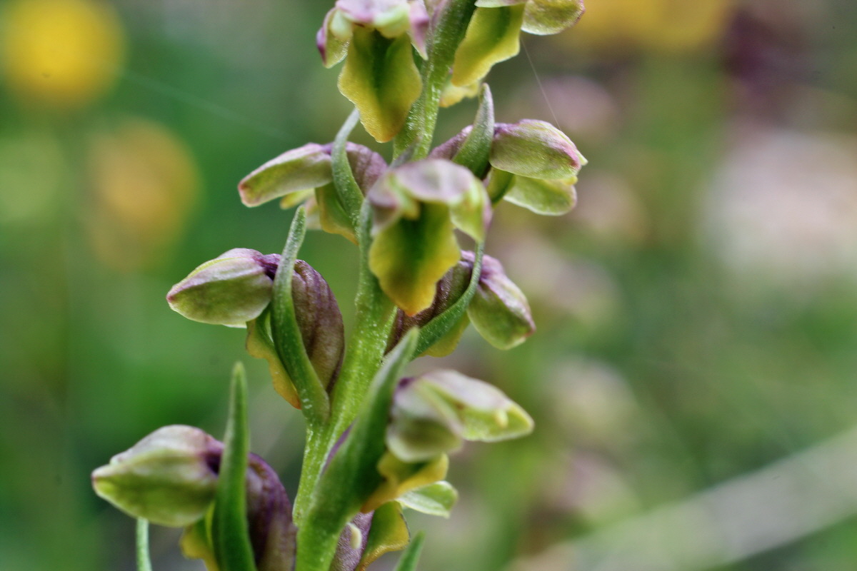 2014_07_24_00004247p_Bildgr��e �ndern