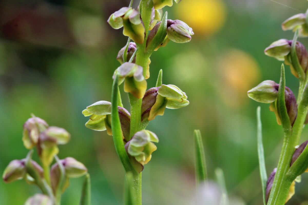 2014_07_24_00004257p_Bildgr��e �ndern