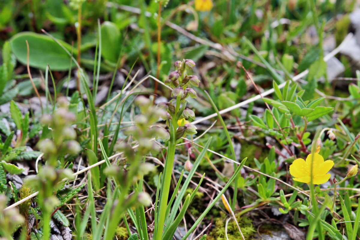 2014_07_24_00004262p_Bildgr��e �ndern