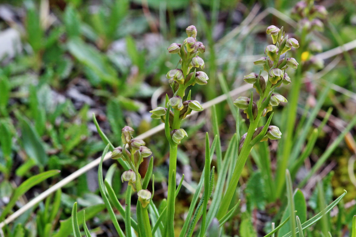 2014_07_24_00004264p_Bildgr��e �ndern