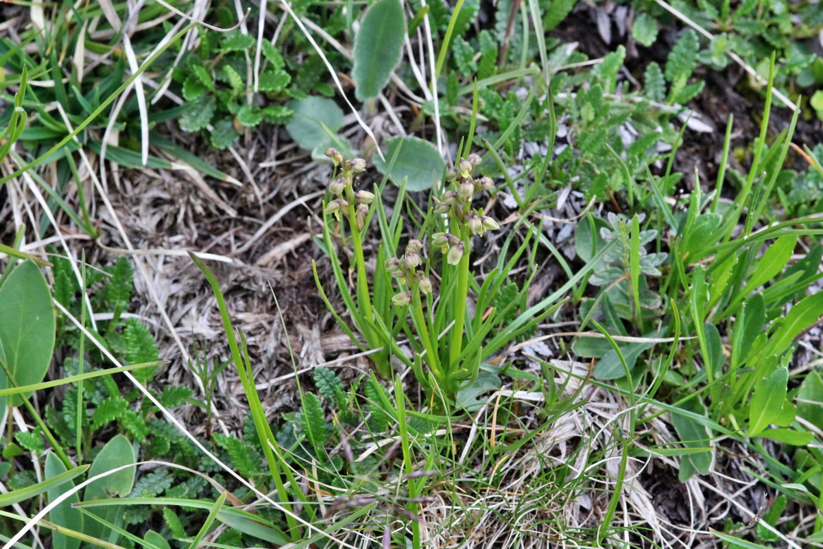 2014_07_24_00004268p_Bildgr��e �ndern