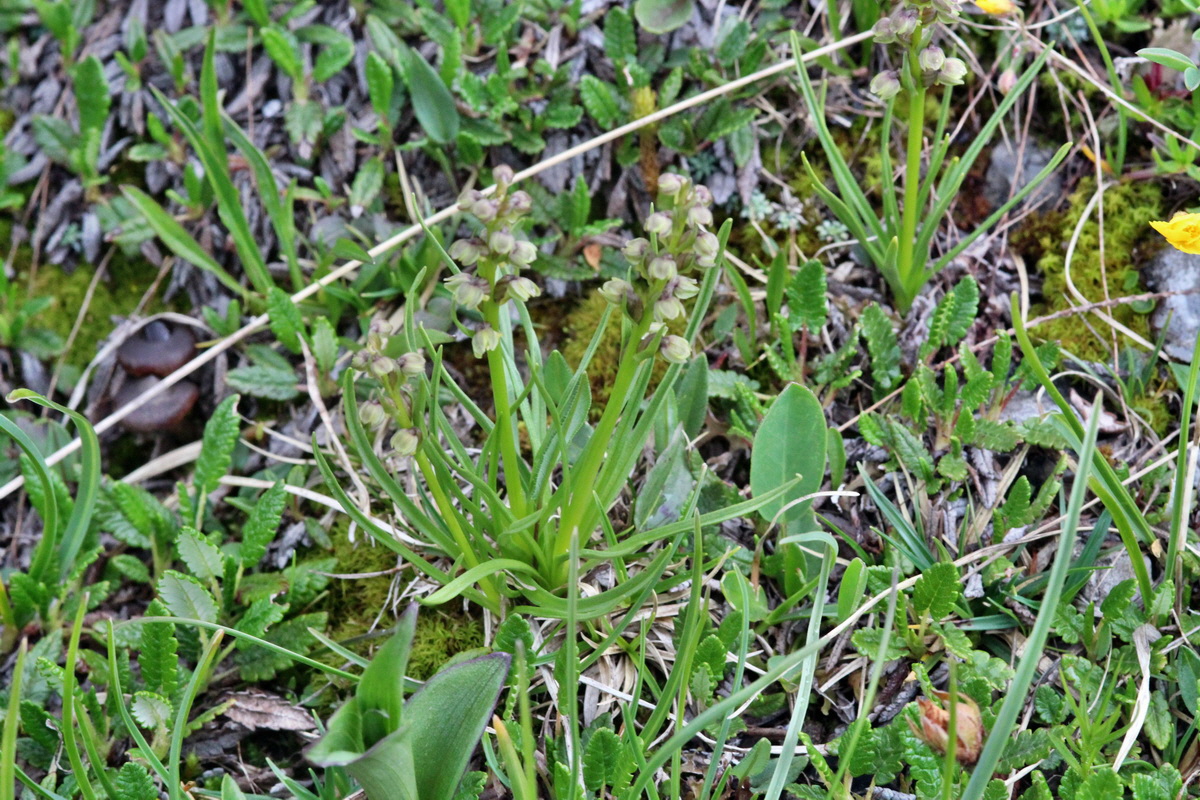 2014_07_24_00004270p_Bildgr��e �ndern