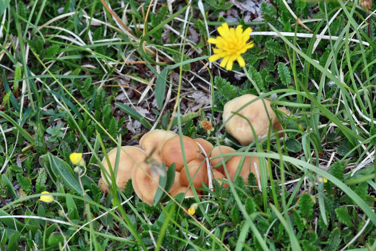 2014_07_24_00004272p_Bildgr��e �ndern