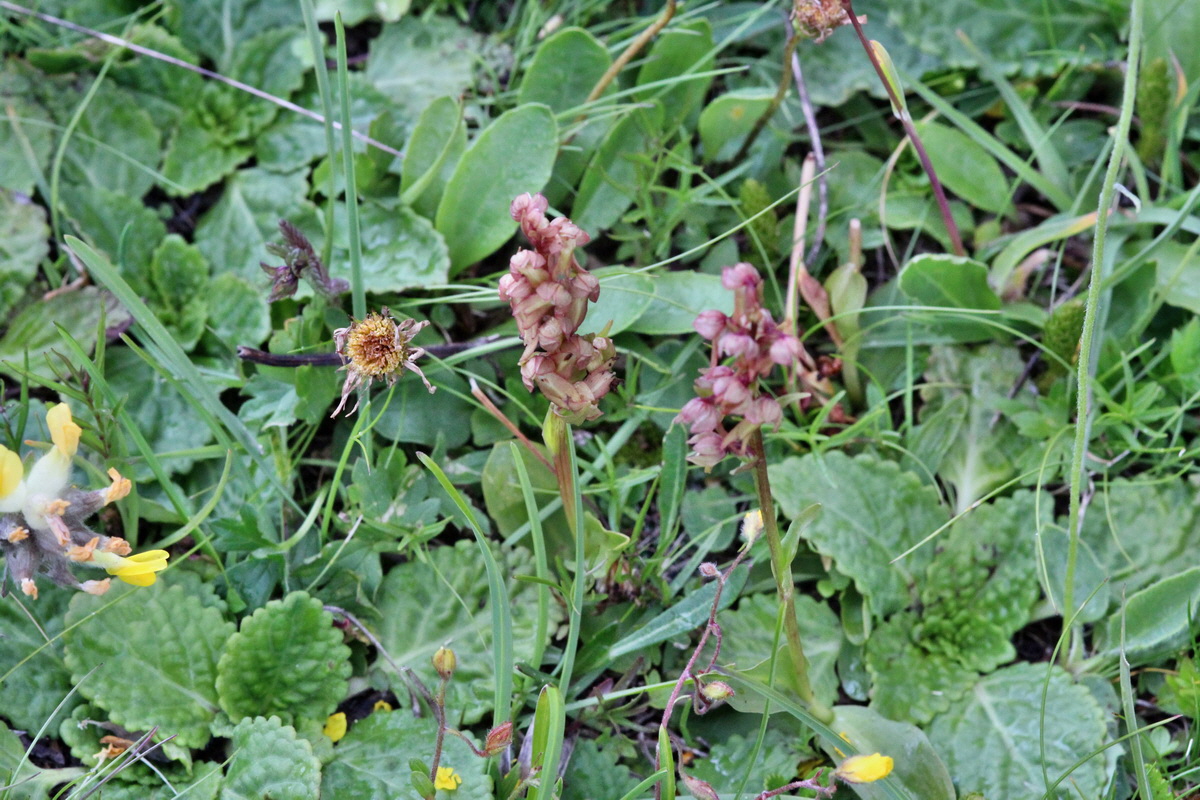 2014_07_24_00004275p_Bildgr��e �ndern