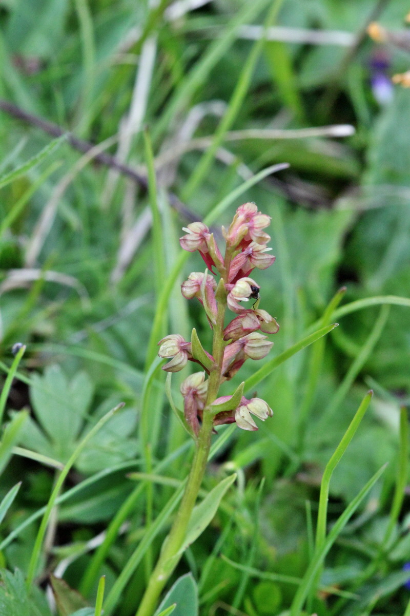 2014_07_24_00004277p_Bildgr��e �ndern