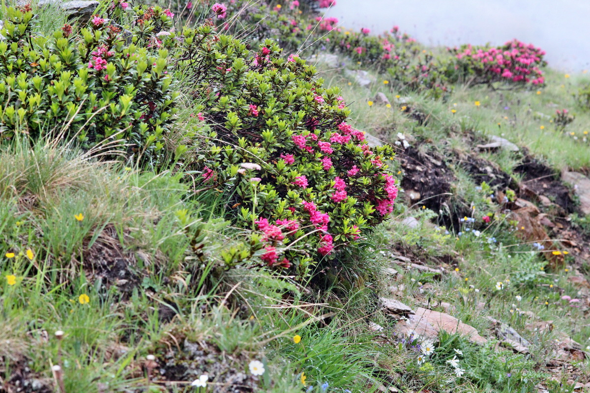 2014_07_24_00004281p_Bildgr��e �ndern