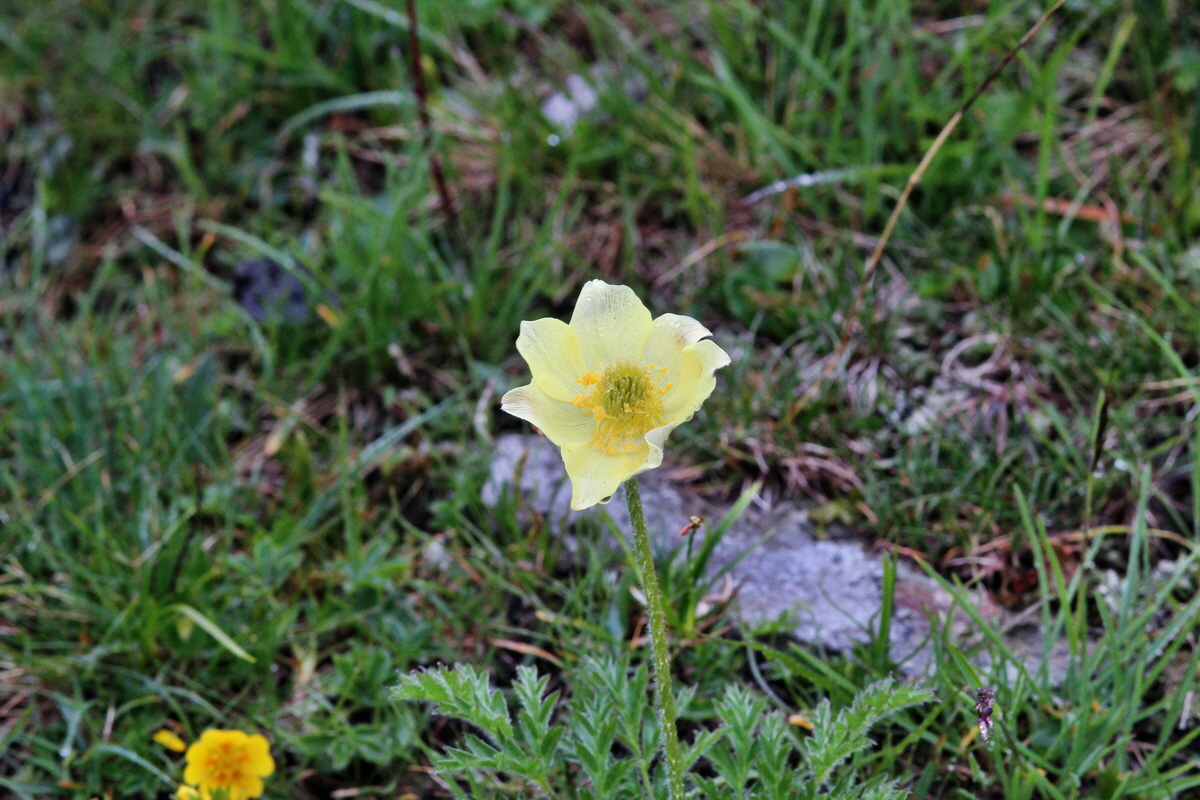 2014_07_24_00004288p_Bildgr��e �ndern