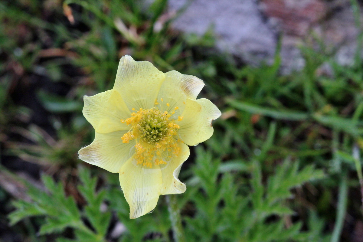 2014_07_24_00004290p_Bildgr��e �ndern