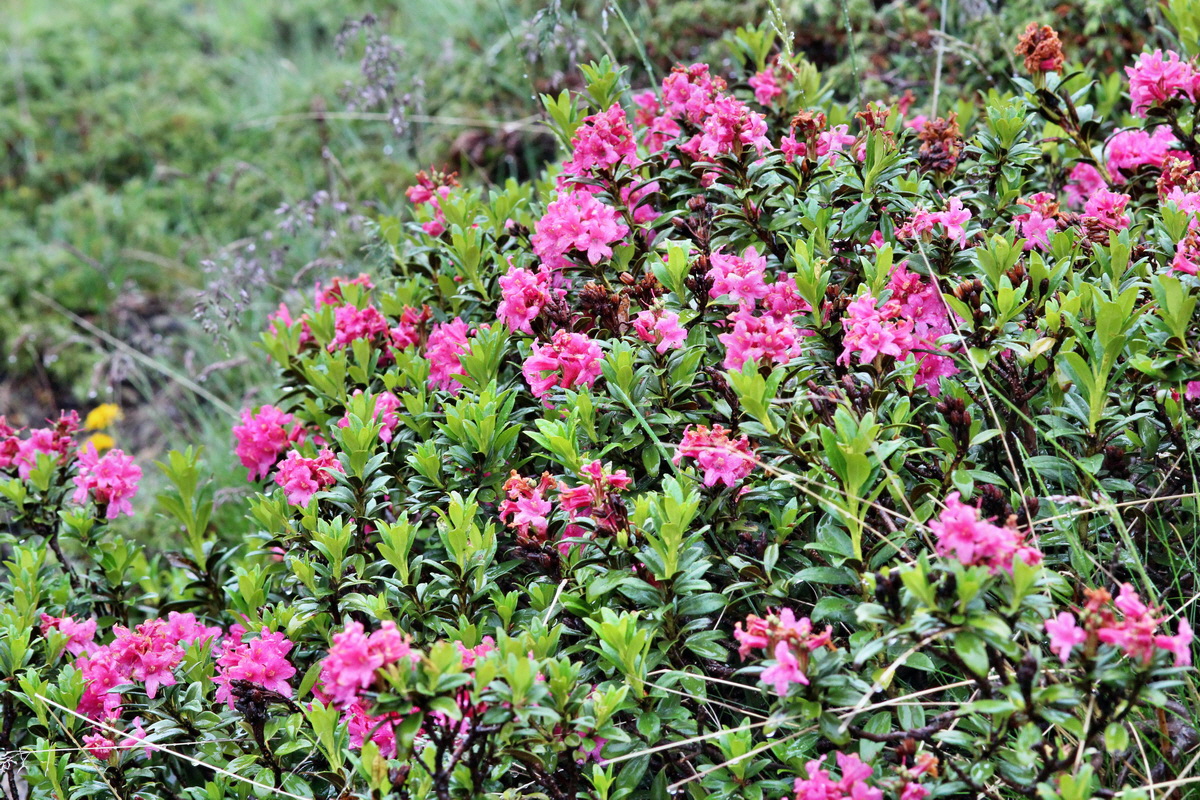 2014_07_24_00004297p_Bildgr��e �ndern