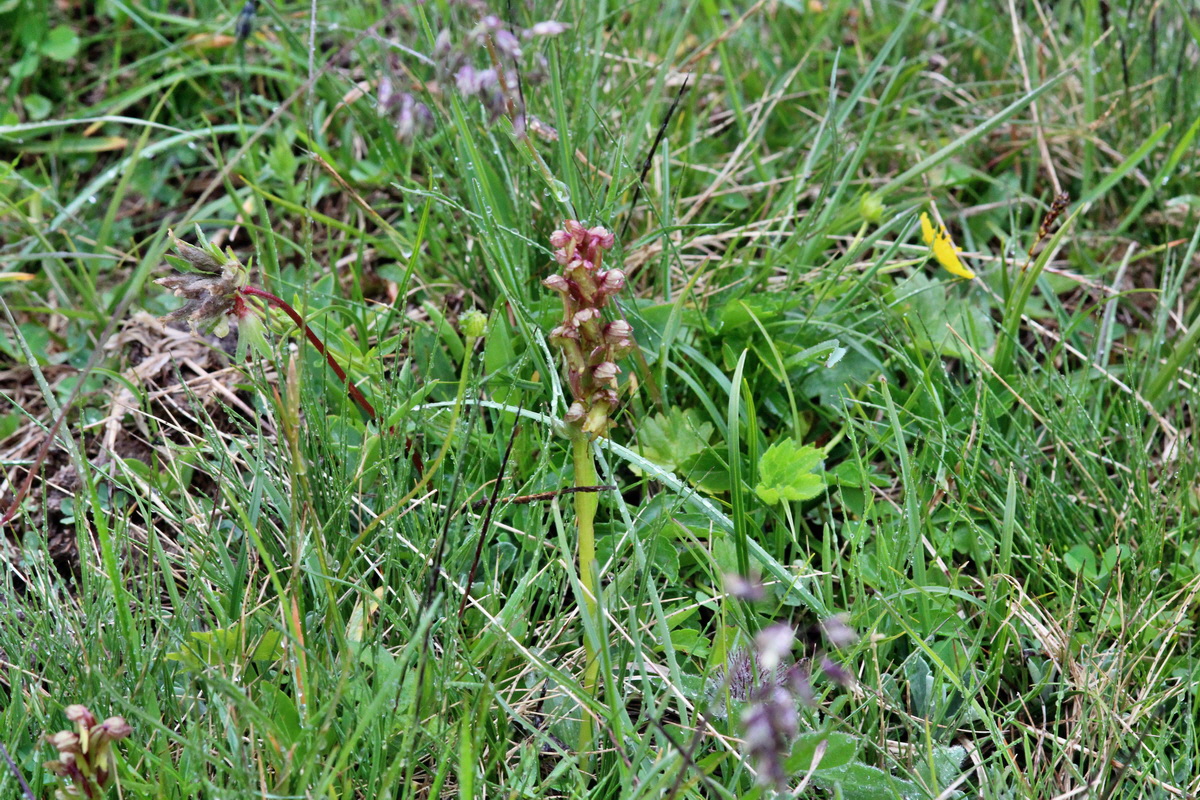 2014_07_24_00004302p_Bildgr��e �ndern