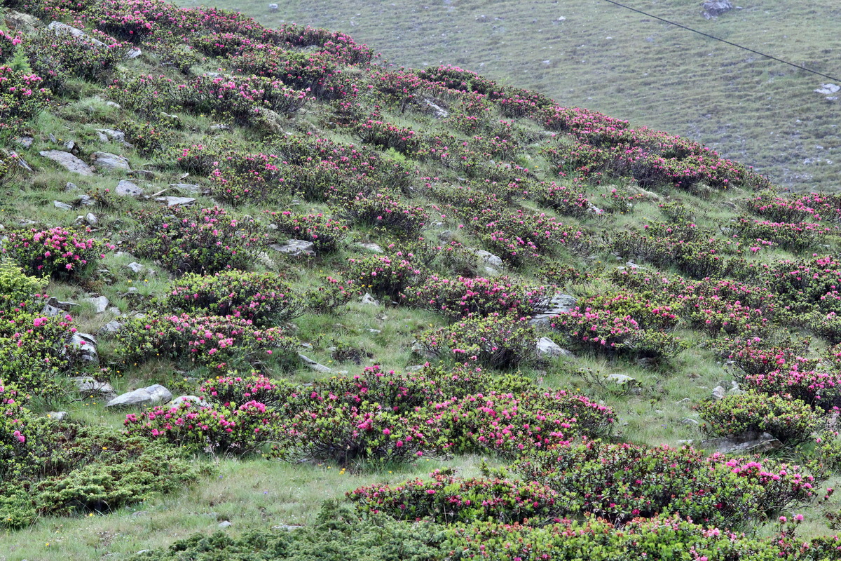 2014_07_24_00004306p_Bildgr��e �ndern