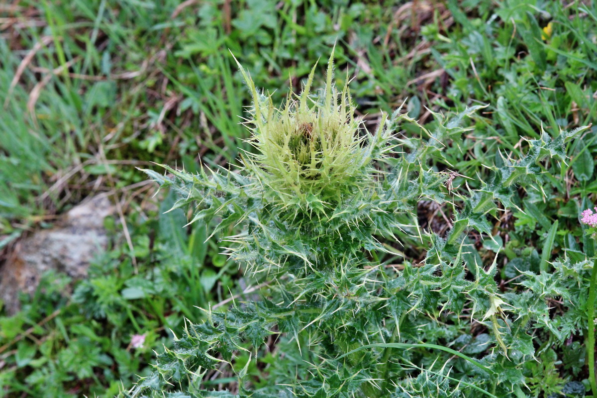 2014_07_24_00004308p_Bildgr��e �ndern