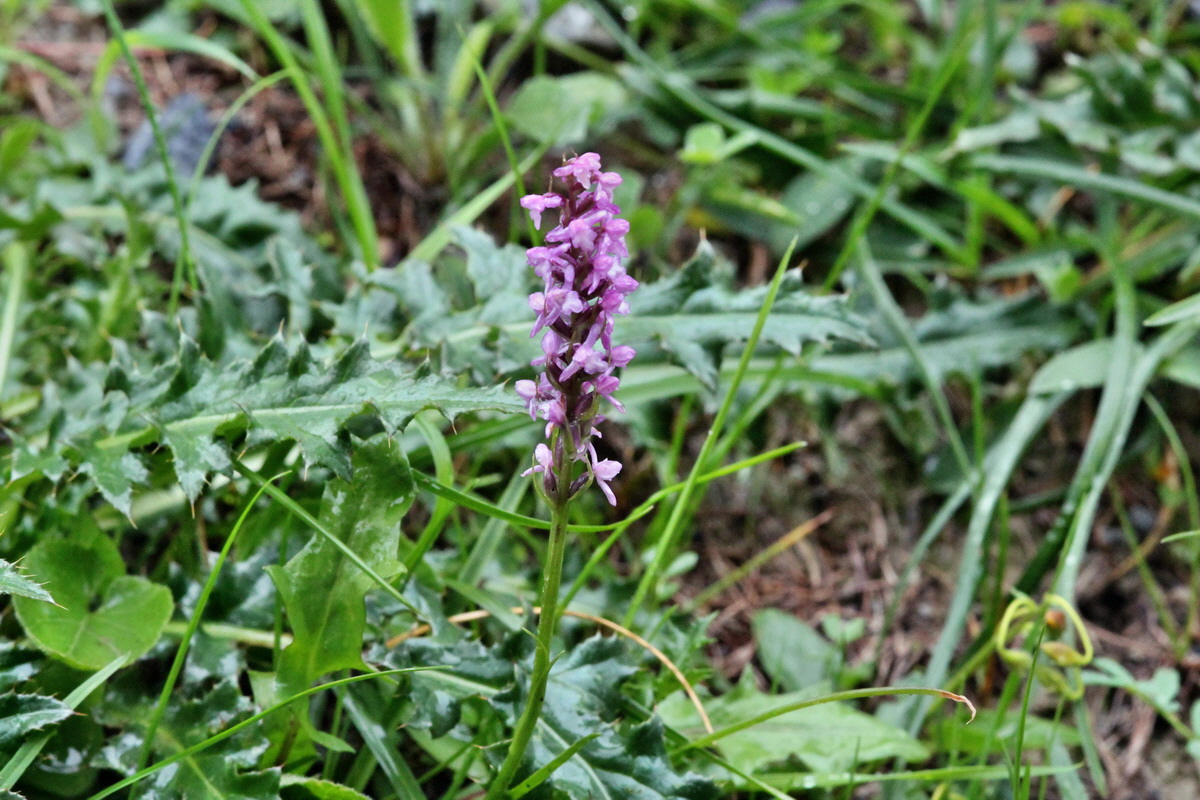 2014_07_24_00004316p_Bildgr��e �ndern