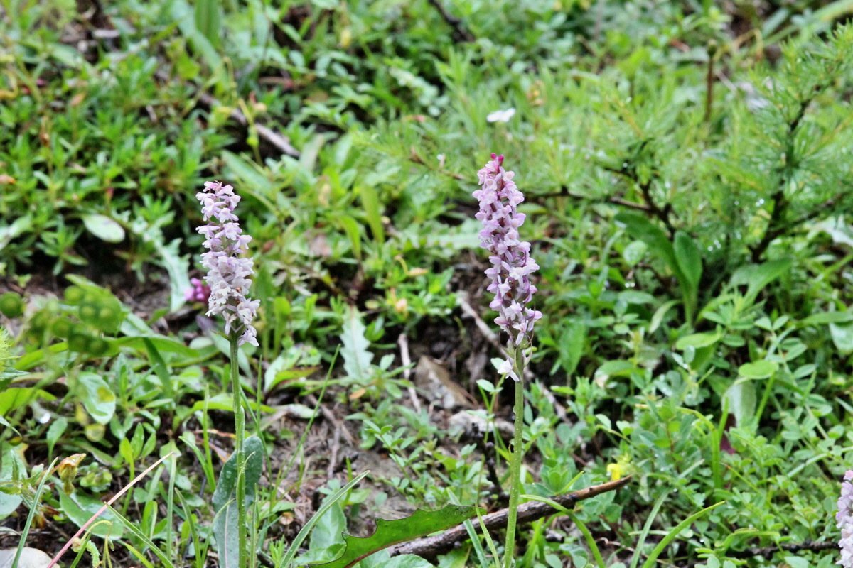 2014_07_24_00004318p_Bildgr��e �ndern