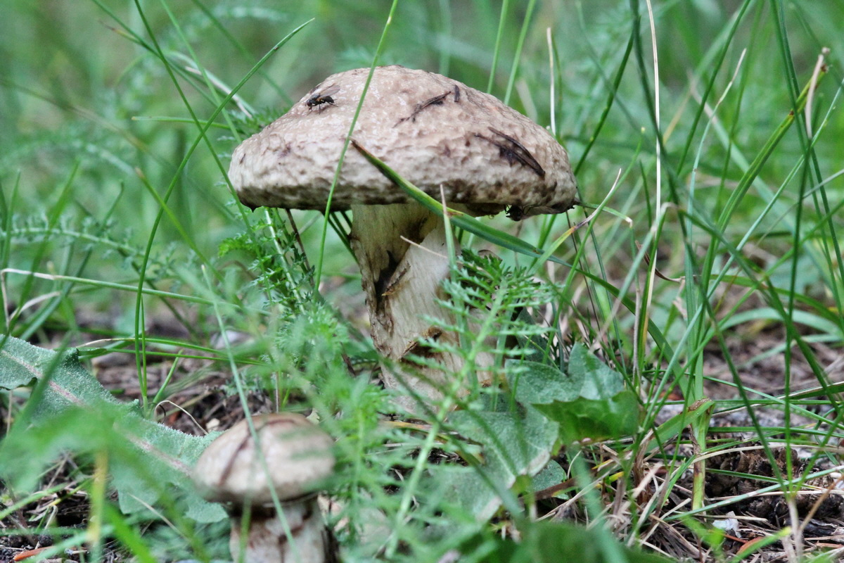 2014_07_25_00004406p_Bildgr��e �ndern