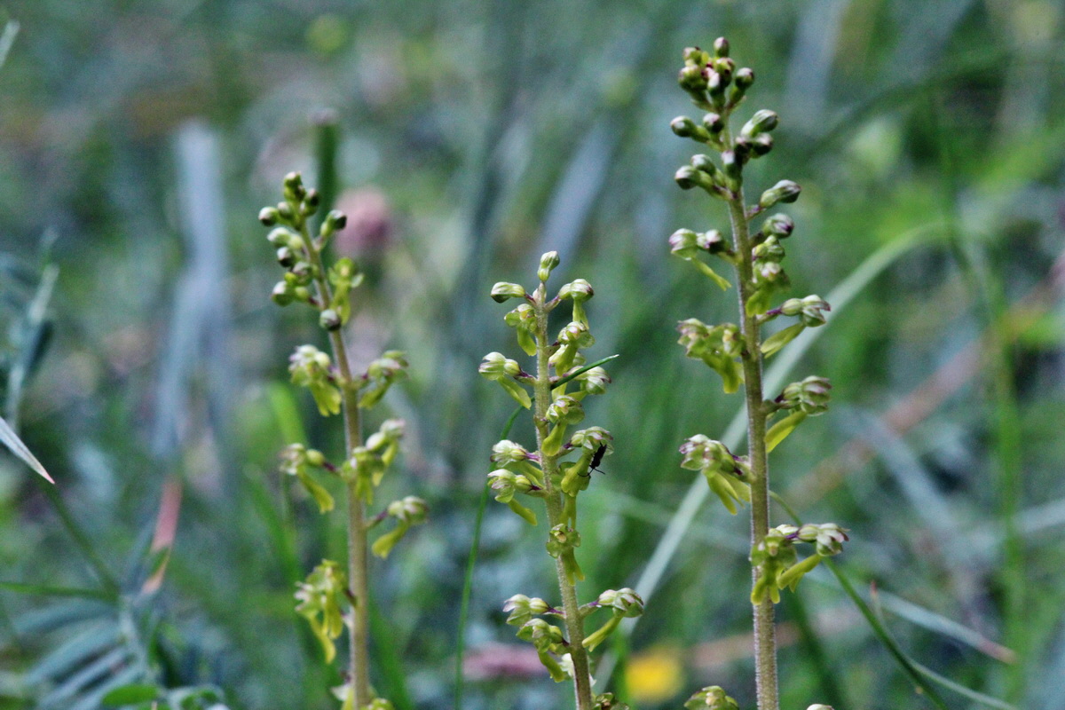 2014_07_25_00004414p_Bildgr��e �ndern