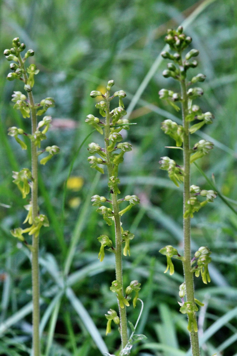 2014_07_25_00004417p_Bildgr��e �ndern