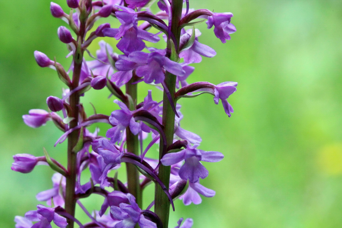 2014_07_25_00004422p_Bildgr��e �ndern