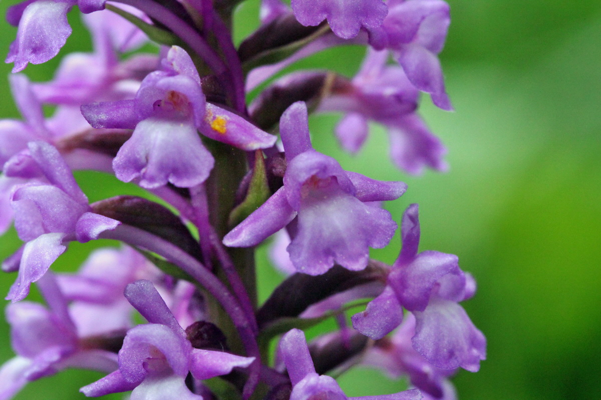 2014_07_25_00004426p_Bildgr��e �ndern