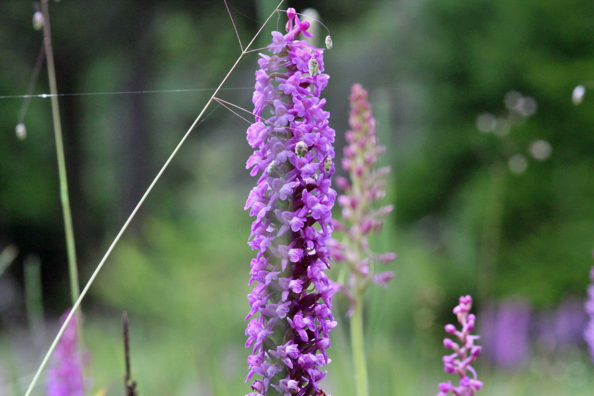 2014_07_25_00004427p_Bildgr��e �ndern