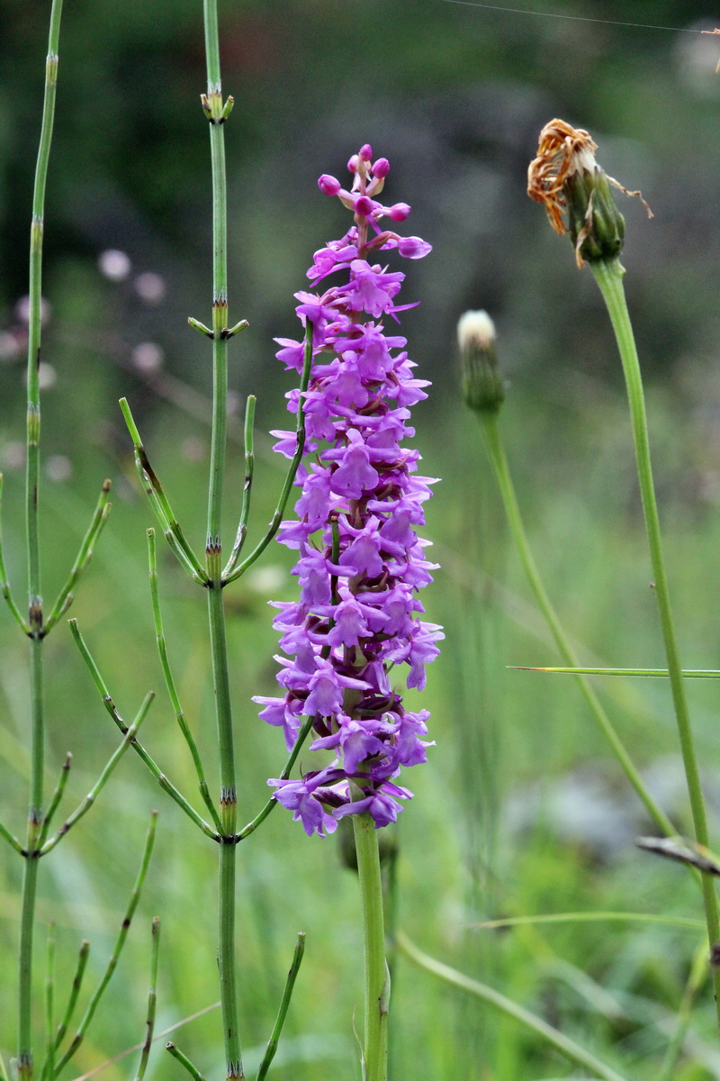 2014_07_25_00004430p_Bildgr��e �ndern