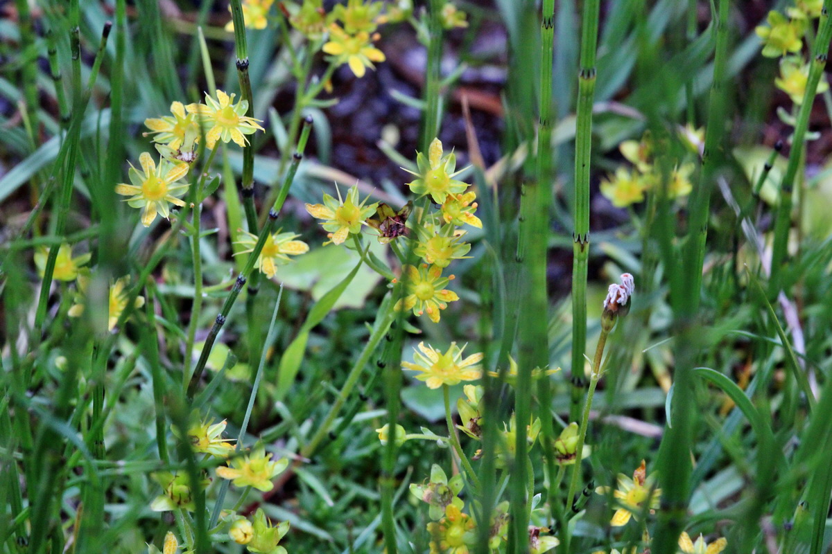 2014_07_25_00004433p_Bildgr��e �ndern